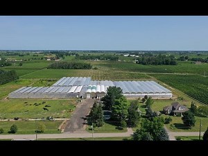 Greenhouse for Sale - 10 acre Property + 2 Houses in Niagara, Ontario