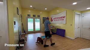 Tito the young excited boxer is learning an in valuable skill: the place command which also teaches him “stay” and impulse control even in the face of distractions! | Julie's K9 Academy - Dog Training
