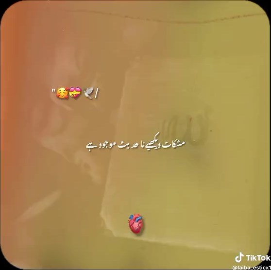 Inspiring Islamic Videos for the Community