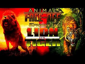 Animal Face-Off [2004] Ep 3: Lion vs Tiger | Full in Description
