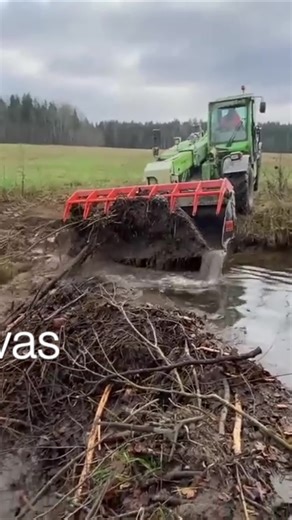 Telehandler working on dam!#beaverdam #drain #work #nature #asmr