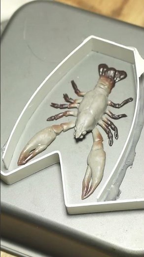 DIY lure making experiment, soft plastic crayfish