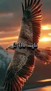 “Top 3 Most Powerful Bird Tattoos in the World 🌍 | Meanings & Symbolism”#tattoo#subscribe#