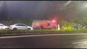 1.8K views · 18 reactions | TREE COLLAPSES NEAR GOA LEGISLATIVE ASSEMBLY DUE TO HEAVY RAINS | Prudent Media | Facebook