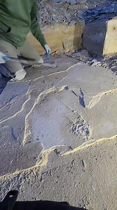 Exploring the Green River Formation is an incredible paleontological adventure, offering the thrill of uncovering ancient life hidden beneath layers of time. As we carefully work through the sedimentary layers, we’re revealing a stunning Phareodus encaustus fossil, still encased in its calcium carbonate matrix. Every dig holds the potential for extraordinary discoveries! If you’re ready to experience the excitement of fossil hunting firsthand, we’re now taking bookings at Instonefossils.com Join