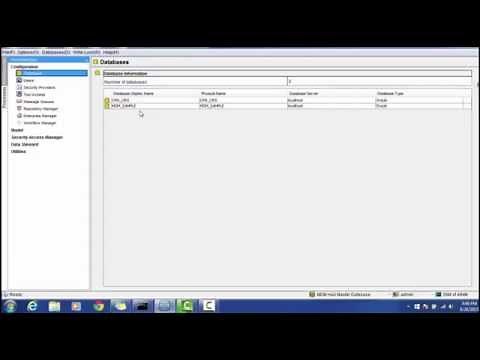 01. Informatica MDM 10 - Introduction to MDM Hub