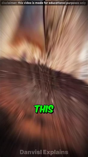 Danvils Explains | Why This Wood Is Worth a Fortune Description Why is this rare wood worth a fortune? Discover how African Blackwood transforms from a... | Instagram