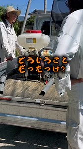 今年は『楽一』という 倒伏軽減剤入りの一発肥料を使って みた圃場があります！ 初めて使ってみました😄 しかし、今年は連日の猛暑です💦 稲も暑さに耐えて頑張っています😥 積算温度で肥料の効果が段階的に 出るらしいのですが 暑い日が続いたのでサッサと 積算温度に達して 肥料の栄養分がサッサと 出てしまっているらしいです💦 周りの楽一使ってる方々も 追加で肥料撒いてるようなので、 佐渡Rice Field上横山でも 追加でオール１４を撒く事にしました🌾✨ 撒く量をどうしたら良いのか🤔💦 微妙です〜 結局、はるだんじ社長の判断に 任せました✨ この田んぼは17アールなので 7キロ撒くそうです😚 ラッキー7✌️だから、 いいでしょう😄🍀🌾 （適当〜だの〜） 今日も暑い暑い一日で ございました。。。 🌾🌾🌾🌾🌾🌾🌾🌾🌾🌾🌾🌾🌾🌾🌾🌾🌾🌾 新潟県にある佐渡ヶ島（#sadoisland ）をご存知ですか？？ 佐渡ヶ島は全国でも有数の米どころです🌾 皆さんが毎日食べているお米は、どこで作られて誰が作っているか知っていますか？？ 佐渡Rice F