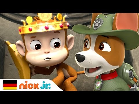 PAW Patrol | Tracker, der Dschungelwelpe | Nick Jr. Deutschland
