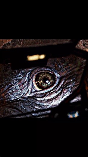 🔥 King of Monsters Attitude Status👑Ultimate Godzilla vs Kong Monster BattleVibes#rampage#movie