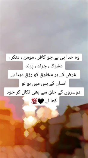 beautifly_7 on TikTok