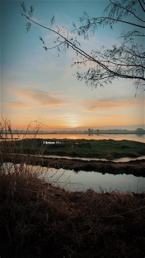 Captivating Mockingbird Moments with CapCut