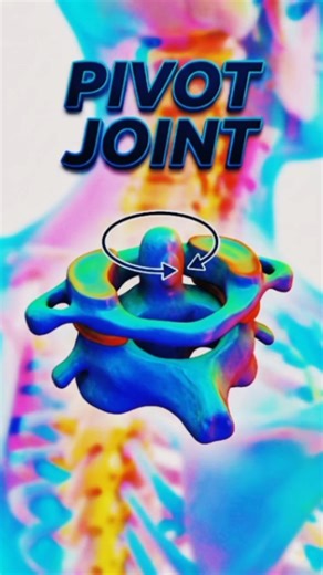 Pivot Joint Explained | human bone joint | Anatomy
