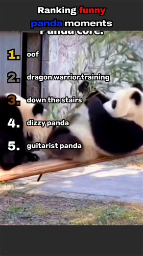 Rankig funny panda moments #rankings #funny #panda #fypシ