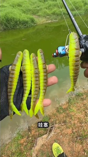 Realistic Fishing Lure Review: Does it Work?