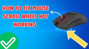 How To Fix Mouse Scroll Wheel Not Working | Mouse Wheel Not Working