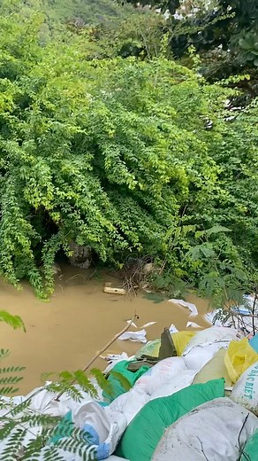 Thanh Trúc on Reels