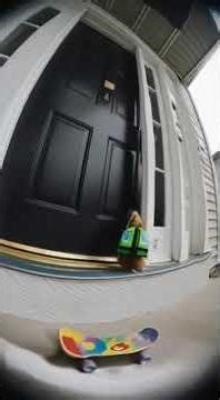 Hamster home from class!