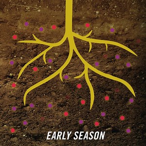 72K views | Pop Quiz. Do you know if there's enough sulfur in your fields right now? With MicroEssentials, you just answered yes. | MicroEssentials | Facebook