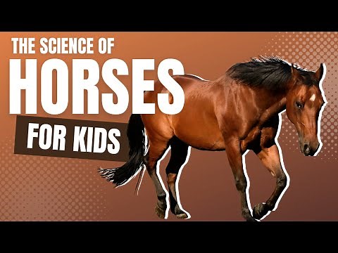 The Science of Horses For Kids by Little Lab | Educational Videos for Toddlers