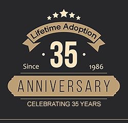 Employment at Lifetime Adoption