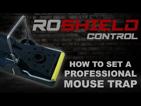 How to set a Roshield Professional Mouse Trap