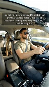 18K views · 681 reactions | Get positive reinforcement courses from Woofz  Useful video lessons and courses  70+ easy tricks  Built-in clicker  Health checks at home  Daily dog journal Install now!  | Woofz | Facebook