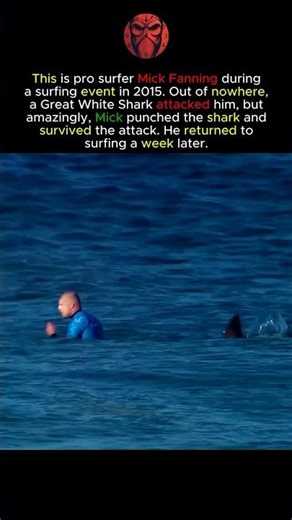 Man vs Shark: The Escape