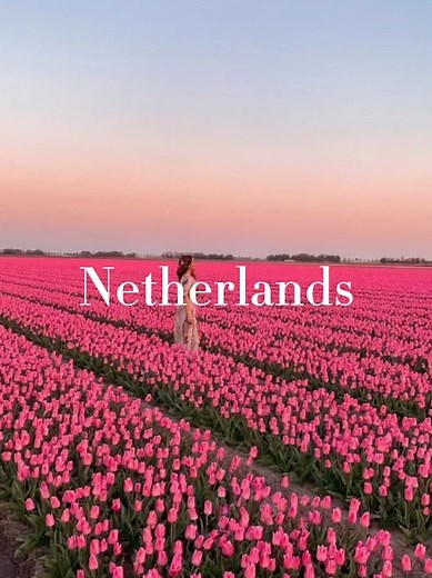 Exploring the Wonders of the Netherlands
