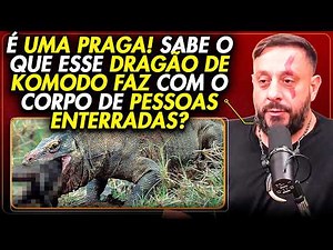 Komodo Dragons Eat Human Corpses? Biologist Henrique Explains