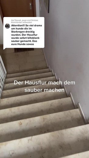 Squad_pugs and Simba on TikTok