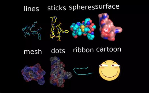 【PyMol作图入门】——5.导出前的美化步骤