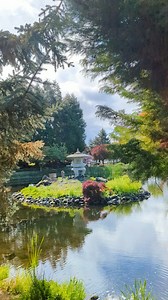Wandering through the Sequim-Shiso Friendship Garden — peaceful paths, pretty plants, and a few little slices of Japan right here in Sequim. A lovely spot that celebrates friendship across the ocean! #SequimShiso #FriendshipGarden #GardenWalks #SisterCities #SequimWA #ShisoJapan #GardenViews #CulturalConnections #NatureLovers #ChillVibes | Sequim-Shiso Sister City Association