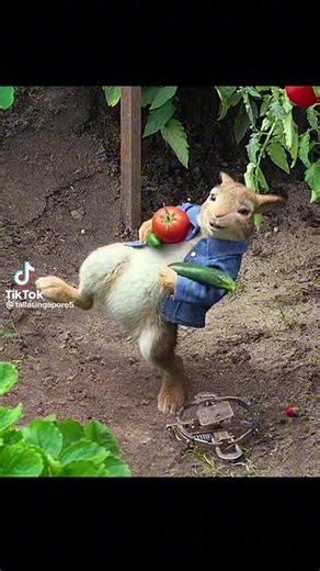 Vidéos de 🇹🇳 TN.تونسي 🇹🇳 (@tn.tunisi) avec son original - 🇹🇳 TN.تونسي 🇹🇳