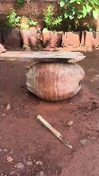 How to Quickly Peel Old Coconut Skin, Guaranteed Practical! #fyp #shorts #viralvideo