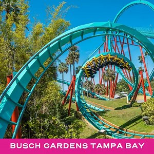 17K views · 465 reactions | Happy Florida Tourism Day! Where will you go for your next Sunshine State adventure? #LoveFL | VISIT FLORIDA | Facebook