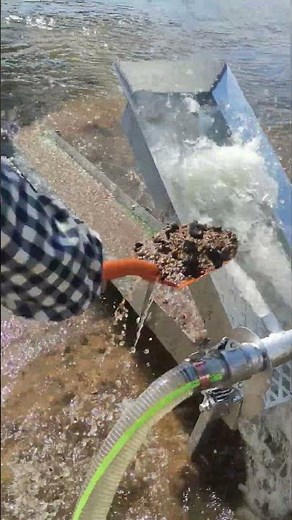 2-Inch Gas-Powered Sluice Box in Action! 🔥 High-Efficiency Gold Mining Equipment