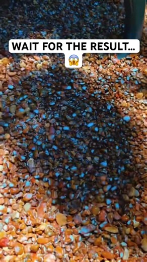 How to achieve a professional rock bed finish.🤔