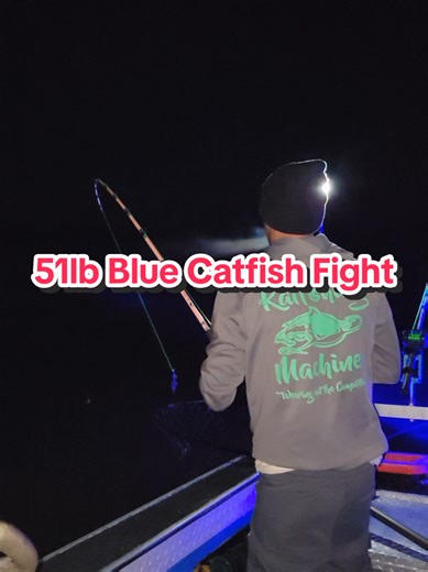 fighting a 51lb blue catfish Mid-Atlantic Catfish Company #FYP #Fishing #Fishtok #MidAtlanticCatfish #BigFish