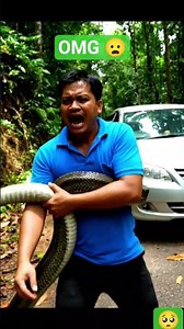 Shocking Snake Attack Caught on Camera 😱 Real Jungle Wildlife Encounter