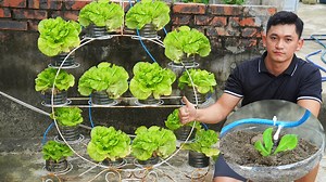 How To Make A Vertical Garden To Grow Lettuce | Balcony Garden Ideas
