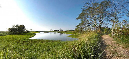 Mai Po Nature Reserve