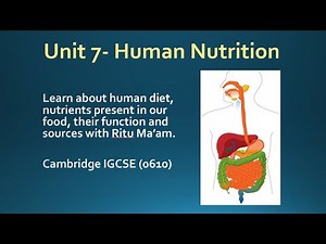Unit 7- Human nutrition- Human diet- Part 1 (Cambridge IGCSE 0610)