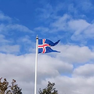 The lovely national flag of Iceland. The colours stand for 3 of the elements that make up the island. Red is the fire produced by the island's volcanoes, white recalls the ice and snow that covers Iceland, and blue is for the mountains of the island. 📸 @titusparade | Iceland Travel