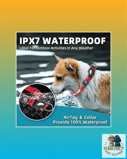 LED Waterproof Pet Collar - Safety Light Up Dog Collar