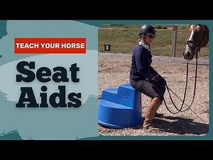 Training A Horse To Listen To Your Seat