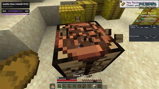 speedrunning the craft | MCSR Ranked