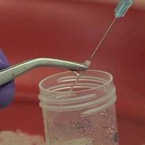 Video: Visualizing Non-lytic Exocytosis of Cryptococcus neoformans from Macrophages Using Digital Light Microscopy