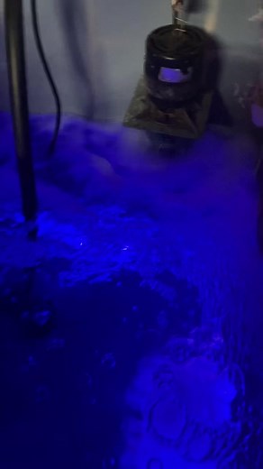 DIY homemade catfishing bait tank set up for the 2022 season. #catfishing #fyp #fypシ #fypage #foryoupage #baittank #diy #ohioriver #foryou #rivermonsters #fishing #flatheadcatfish #foru