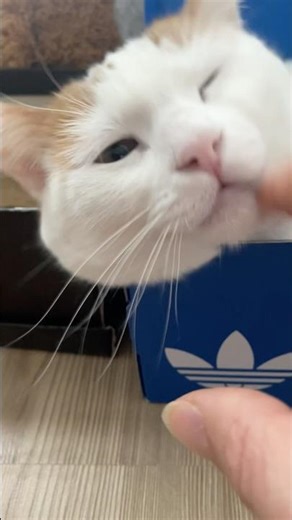 We followed the trend, but it ended differently 😅😍🤗